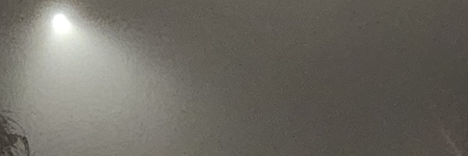 ChelleInACell's profile banner image