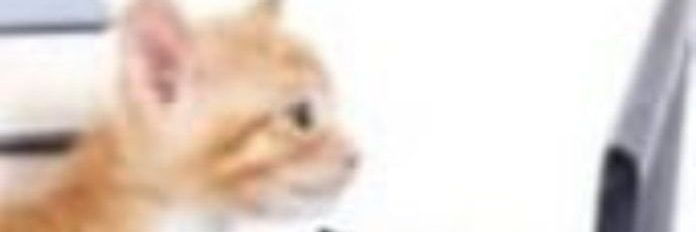 norecordntrust's profile banner image