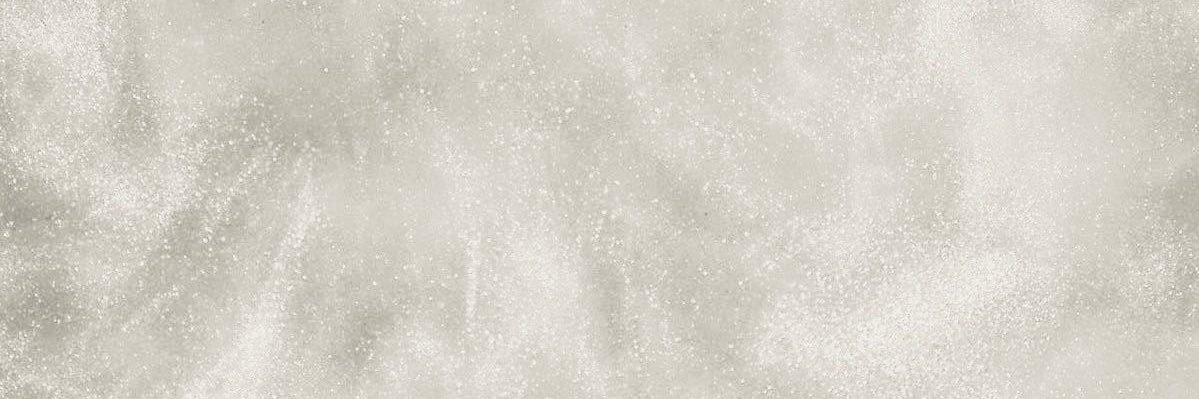🐚 banner
