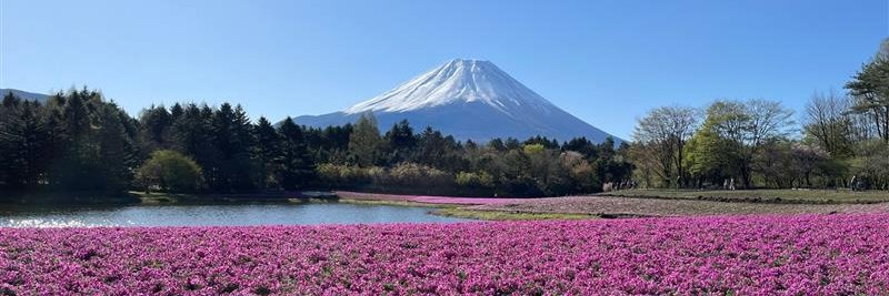 北村 俊博　KITAMURA TOSHIHIRO banner