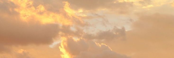 Joy banner