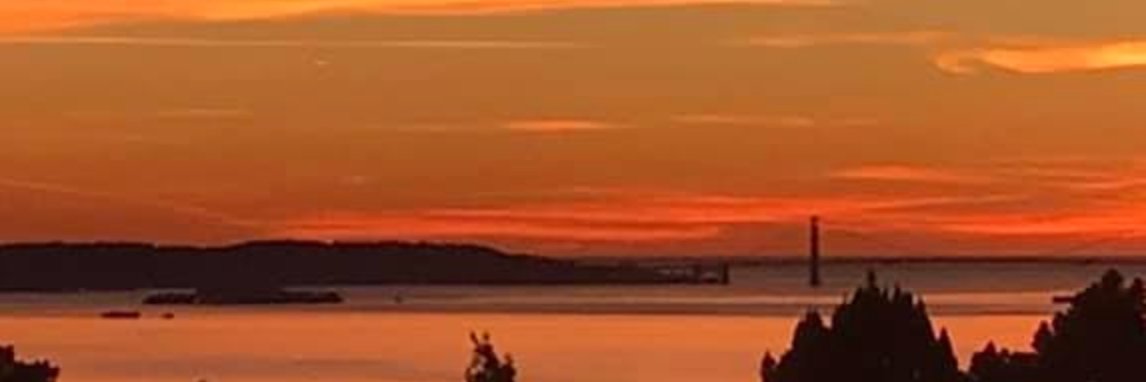 dturman's profile banner image