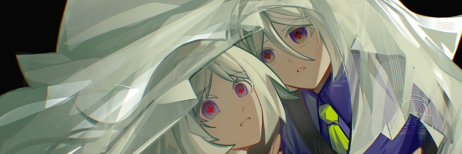 Visla banner