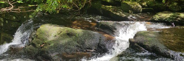 LloydMufX Profile Banner