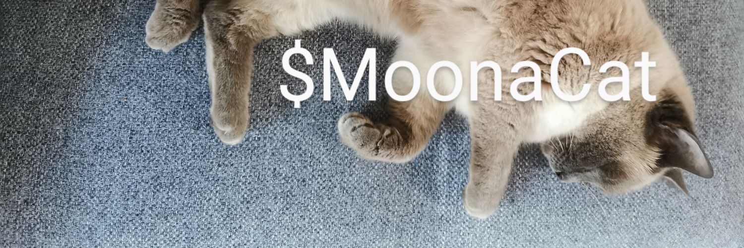 MoonaCat_CTO's profile banner image