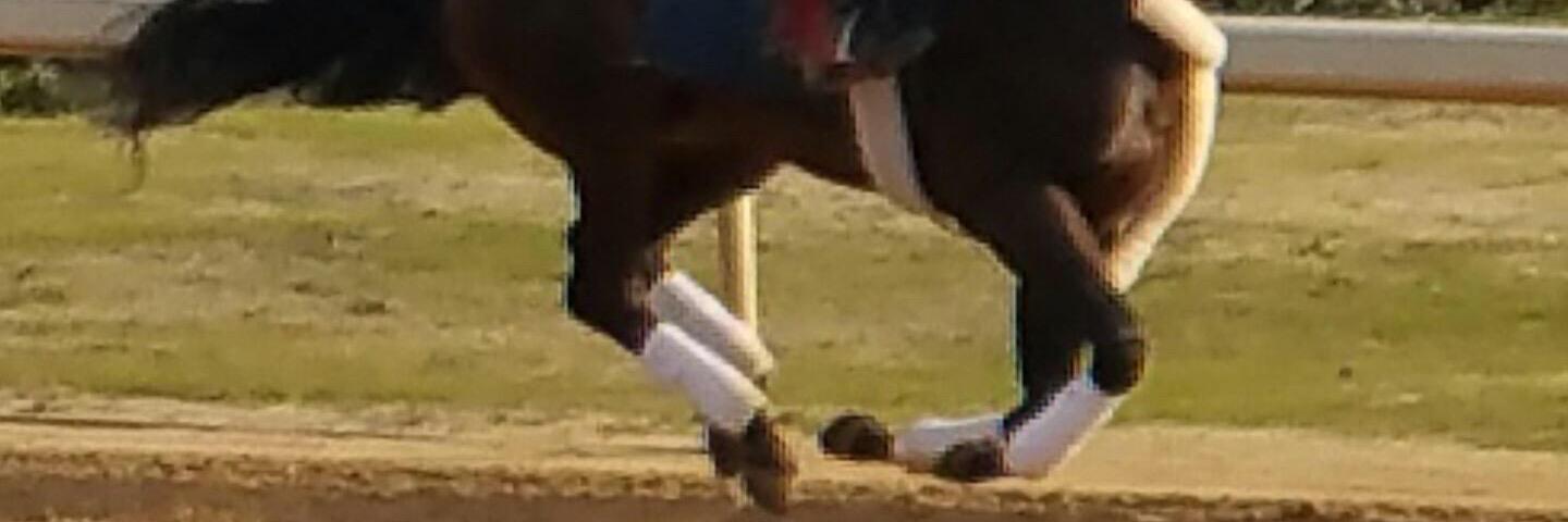 RIDEONCURLIN's profile banner image
