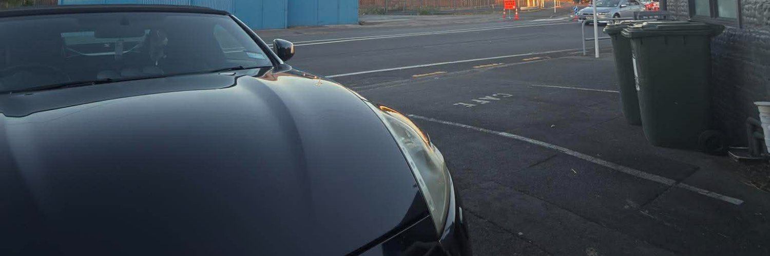 boguitaspp's profile banner image