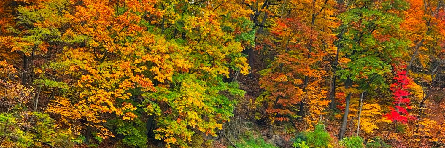 MacRtst's profile banner image