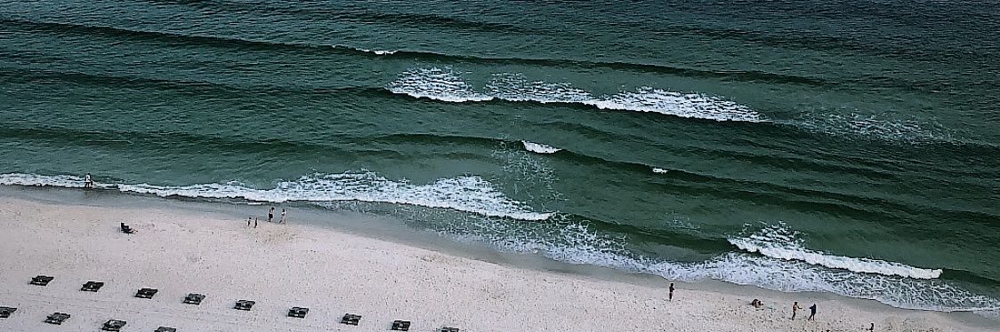 Addison_Lofton's profile banner image