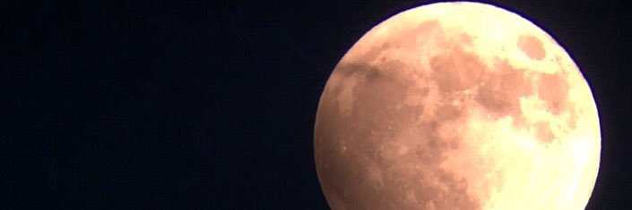nasheTL's profile banner image