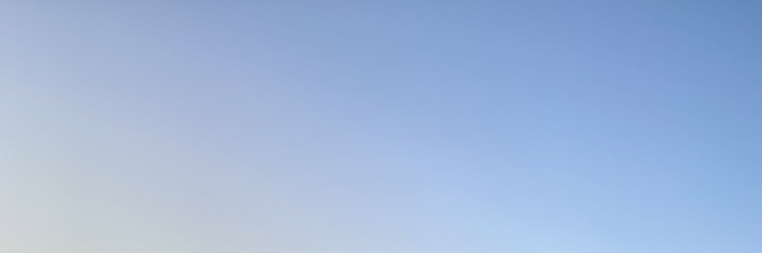 carolinavittt's profile banner image