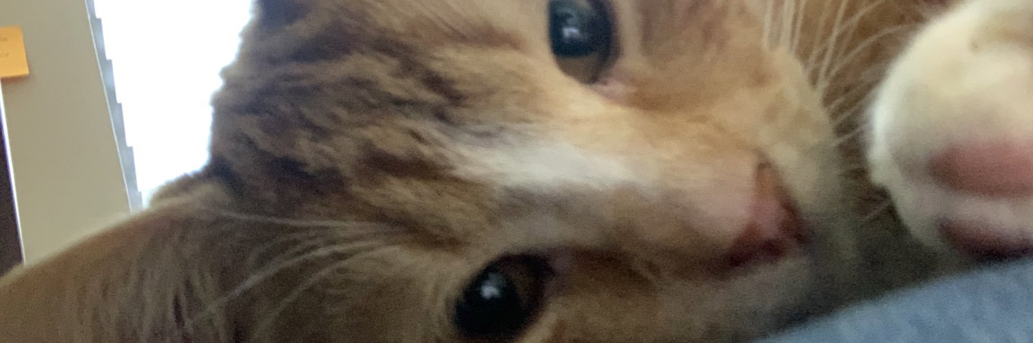 Taylor_Dempsey_'s profile banner image