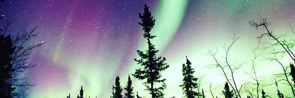 Tanasha's profile banner image