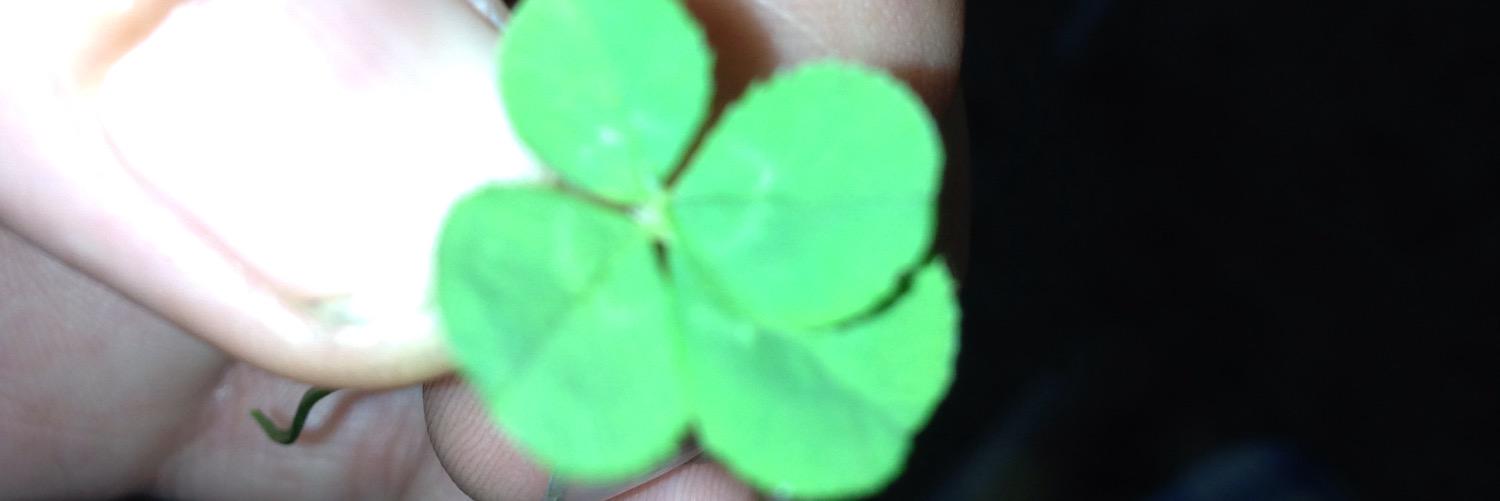 GirlWiTheFace's profile banner image