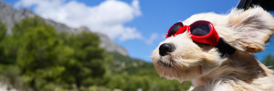 HandBoy's profile banner image