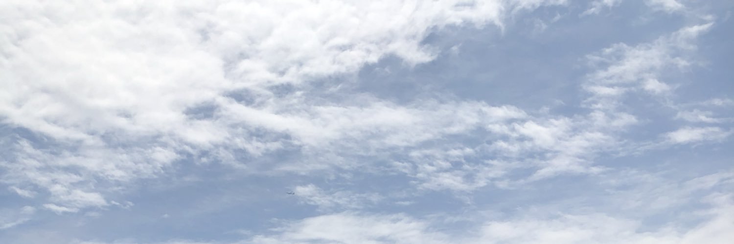 お芋太郎⌛️🦡🥃 banner