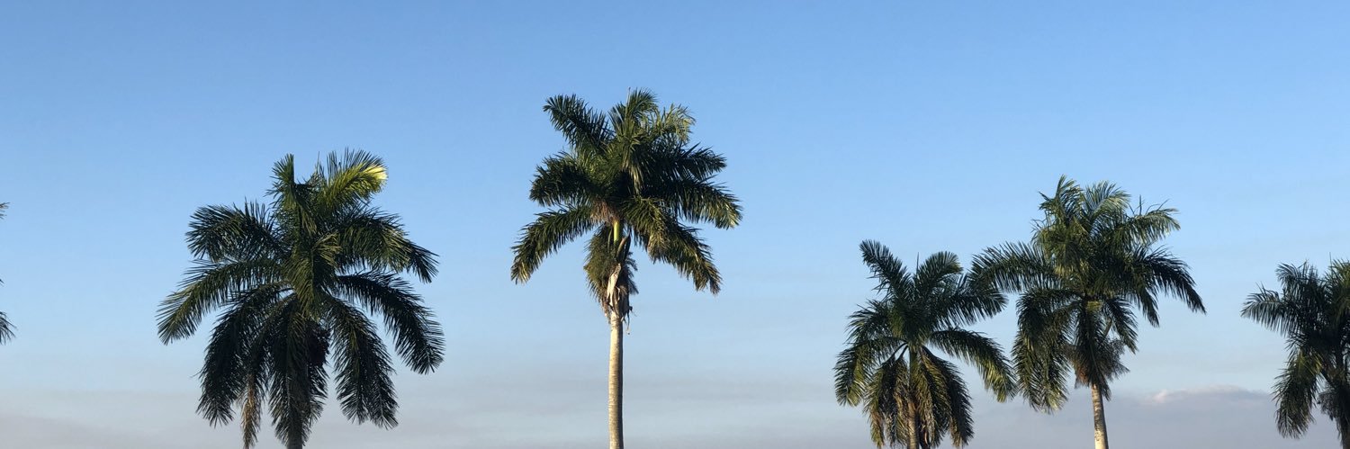 Eb_ony_'s profile banner image