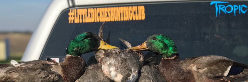tco132's profile banner image