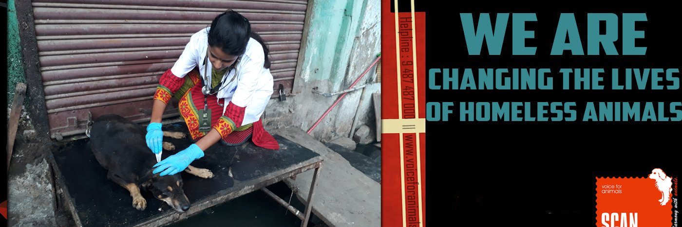 Voice for Animals banner