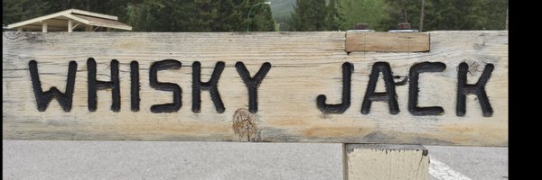 Whiskey Jack Profile Banner