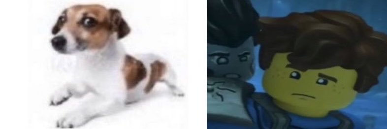 coIebrookstone's profile banner image