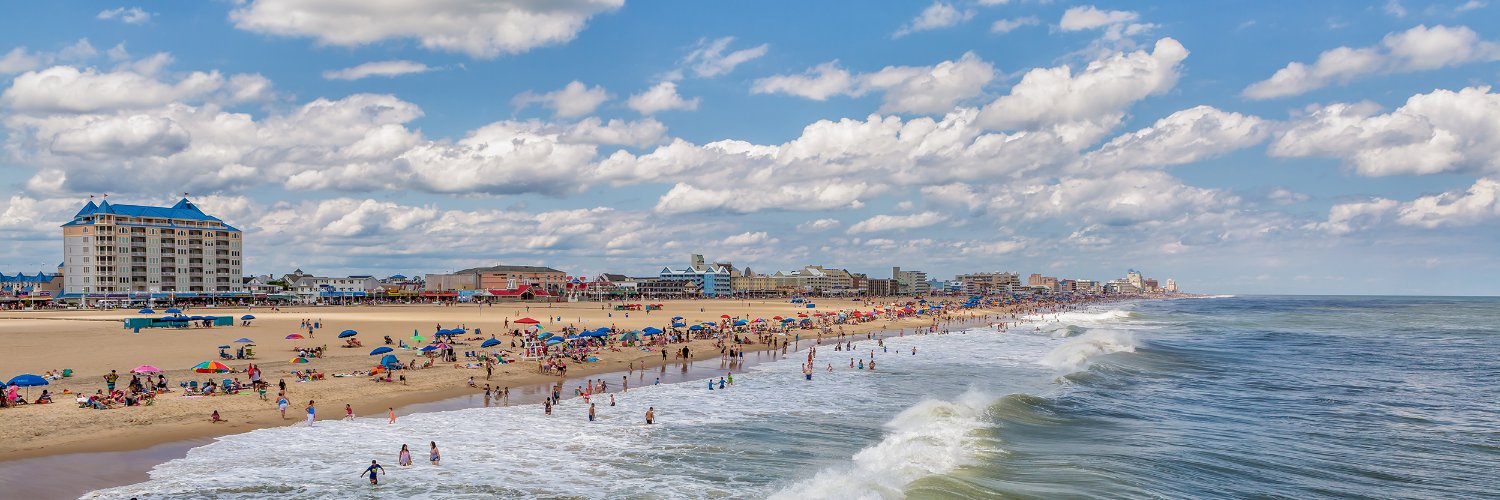 Ryan Haley Realtor banner