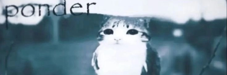 PurkelCat banner
