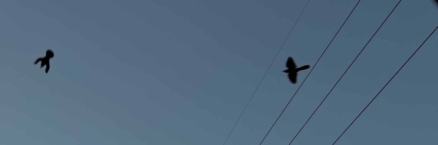 Kungfu_foo's profile banner image
