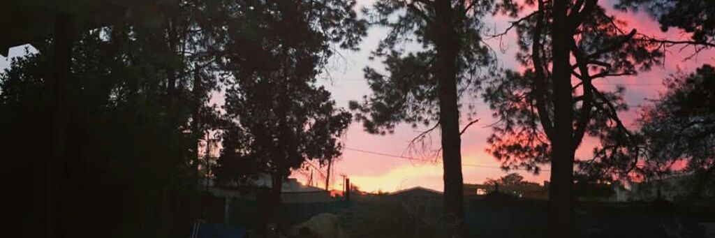 nirvana3939's profile banner image