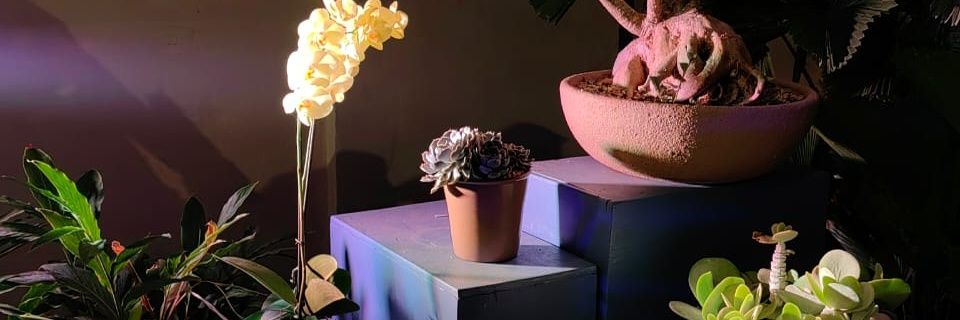 One of yours femboy✨ banner