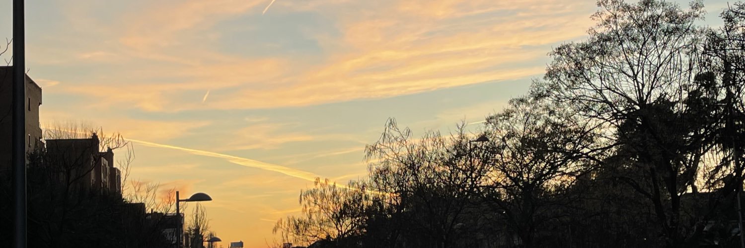 IlariaGermanoS's profile banner image
