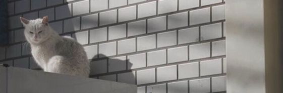"Justin" • Precise Market Analysis banner