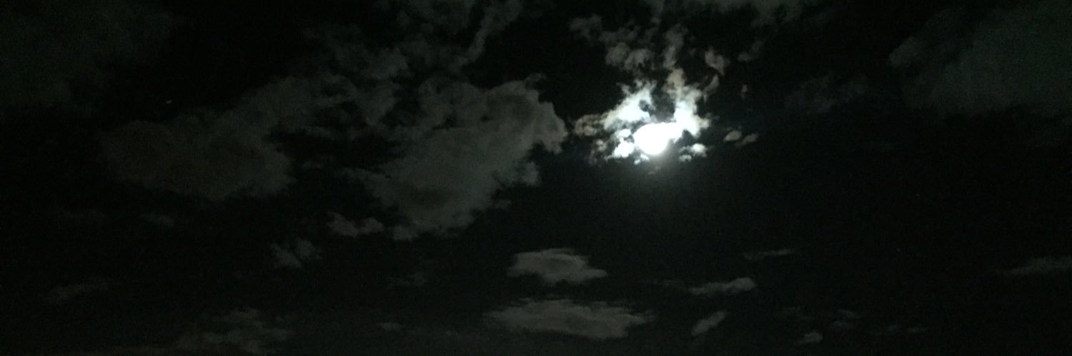 ginodaniel2's profile banner image