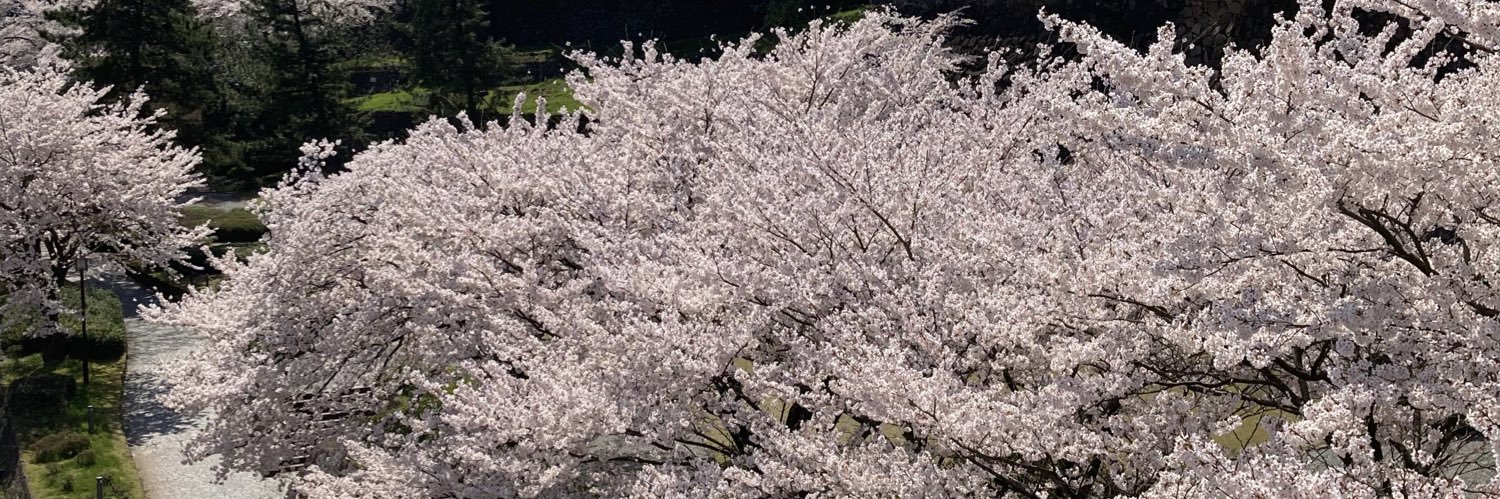RFtact's profile banner image