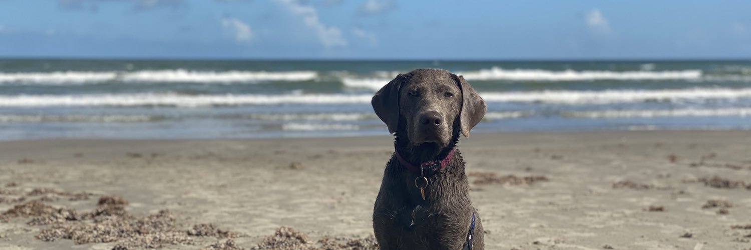 Christian Pinon banner