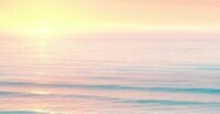 HaaChillBro's profile banner image