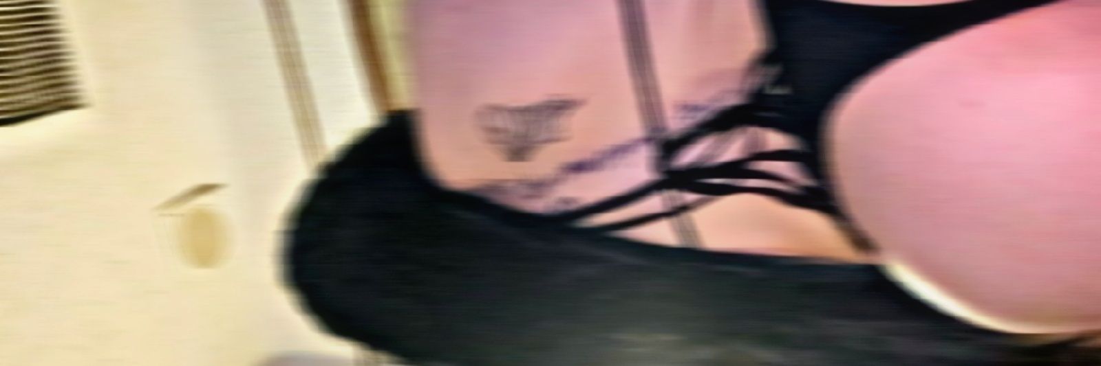 A____Ibarra banner