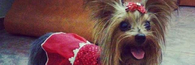 Denisebonfim's profile banner image
