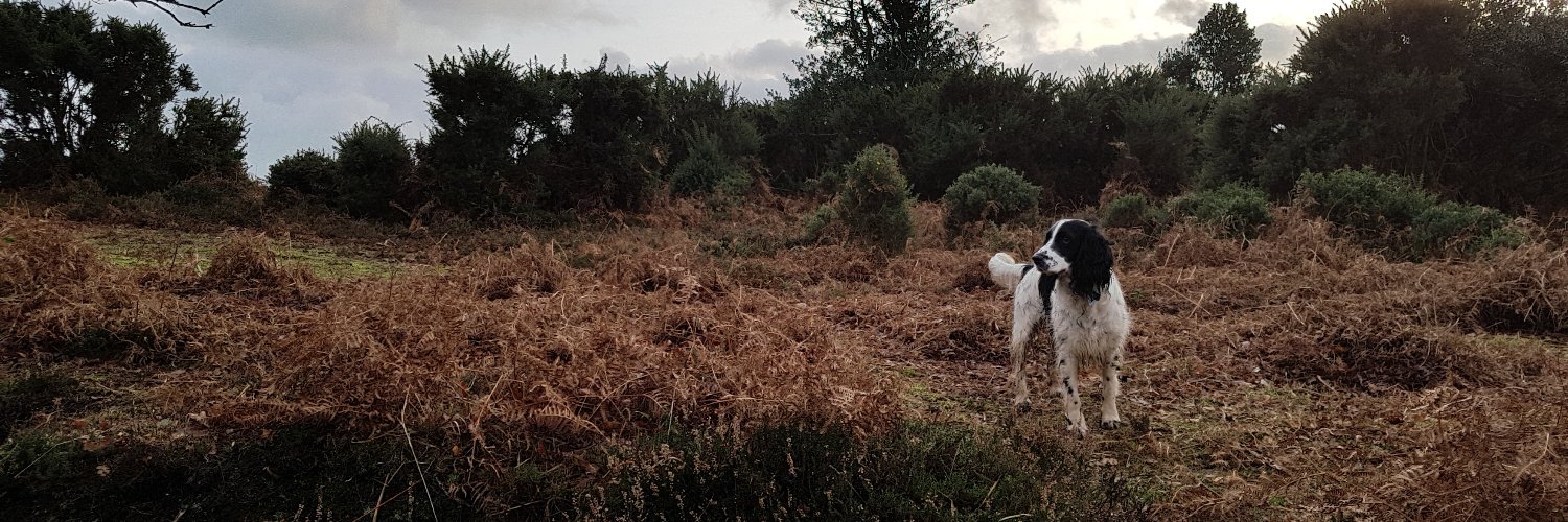 Thomas Rawson banner