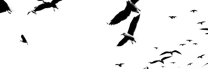 AJ. banner