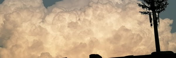 Moshe_gb Profile Banner
