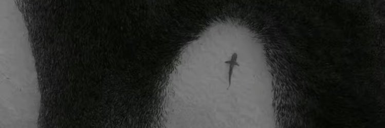 𝐊𝐞𝐞𝐠𝐚𝐧 𝐁𝐢𝐚𝐬 𝐉𝐫. banner