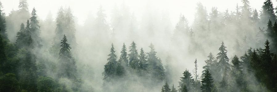 Goose banner