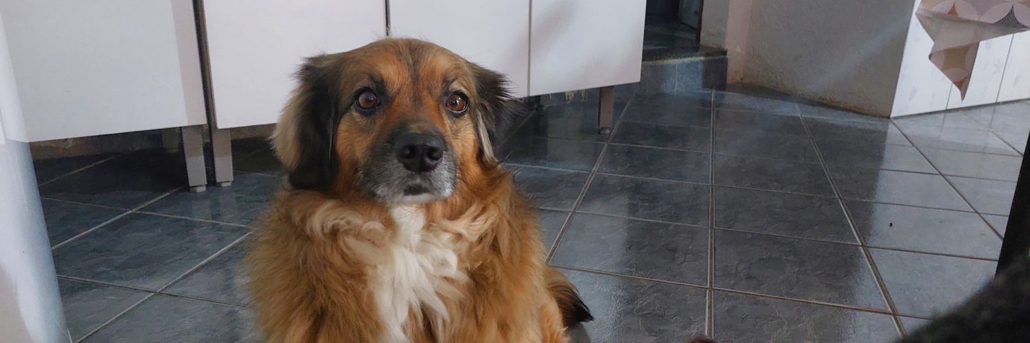 miguel sla porra banner