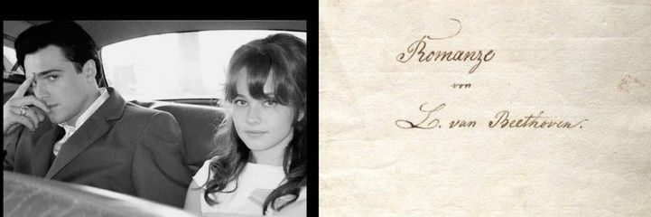 isa ✳️🫘 banner