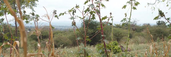 dunoyaro Profile Banner