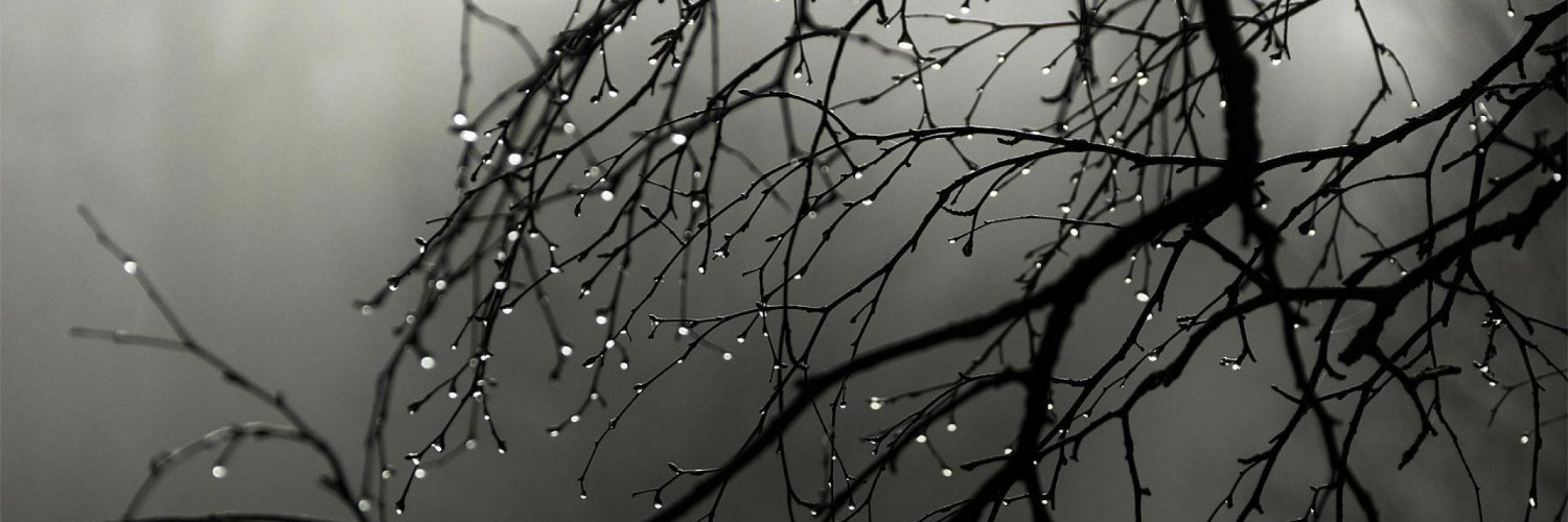 isolar_2's profile banner image