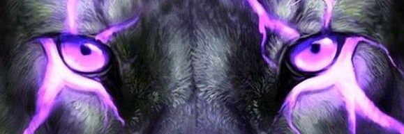 Nightwolf004 banner