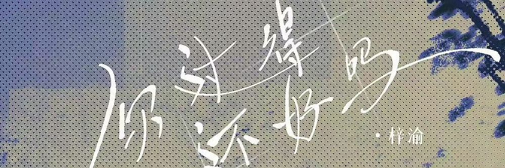Lulu banner