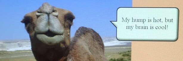 glitter_rat's profile banner image